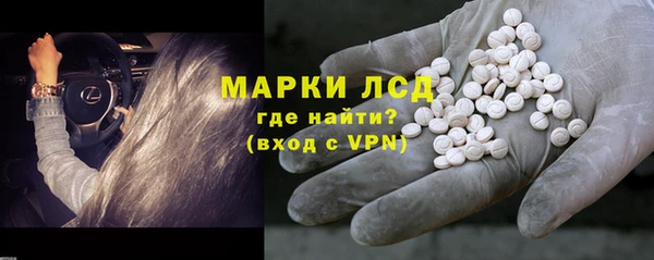 хмурый Алексин
