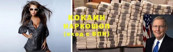 хмурый Алексин