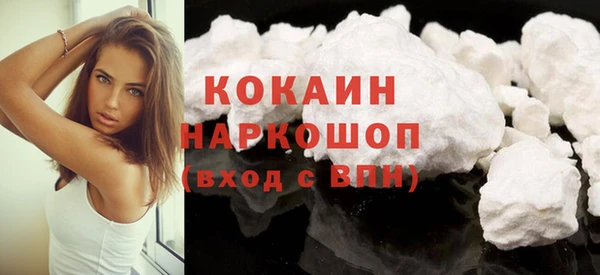 хмурый Алексин
