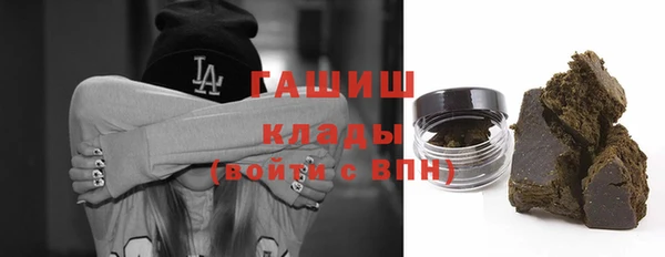 хмурый Алексин