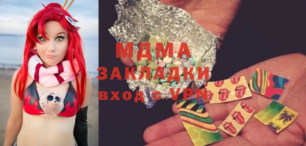 хмурый Алексин