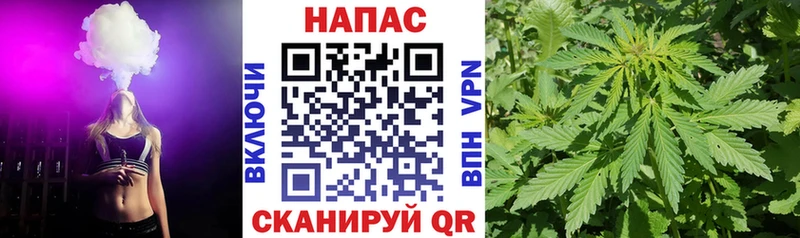 Конопля гибрид  Краснокамск 